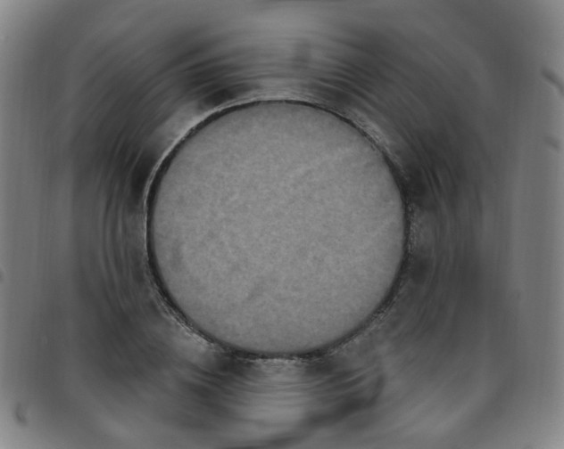 X0000097470836200803071651