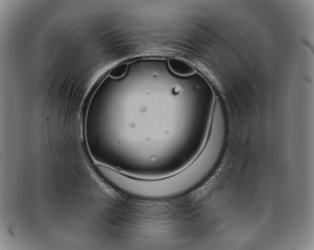 X0000097470838200803071652