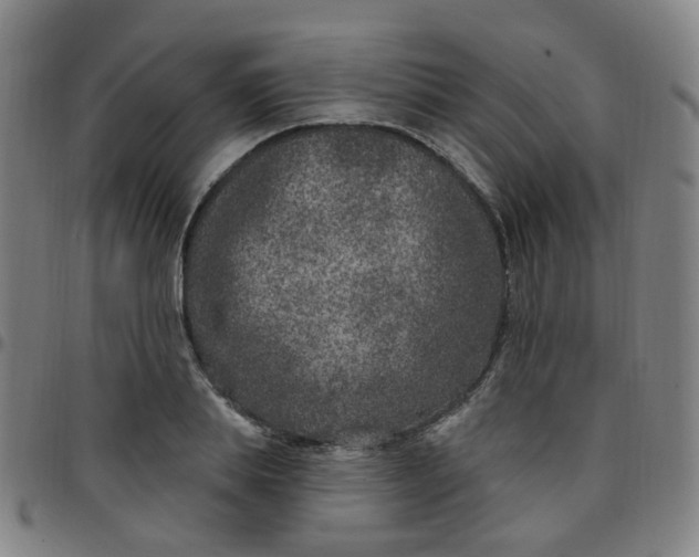 X0000097470839200803071652