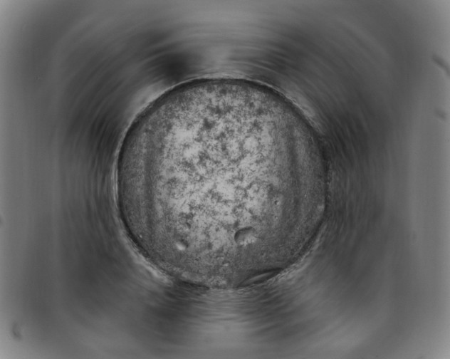 X0000097470840200803071652