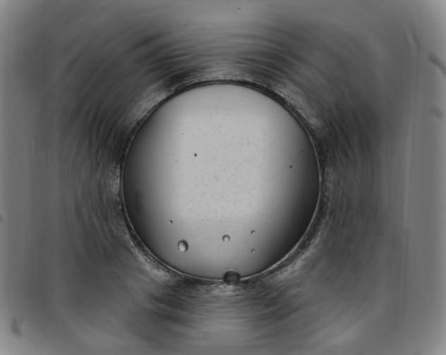 X0000097470841200803071652