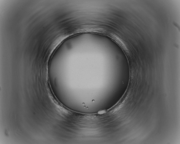 X0000097470844200803071652