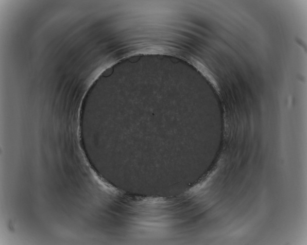 X0000097470845200803071652