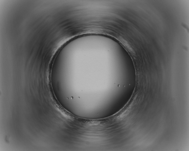 X0000097470846200803071652