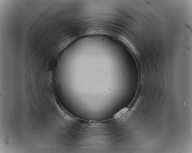 X0000097470849200803071652