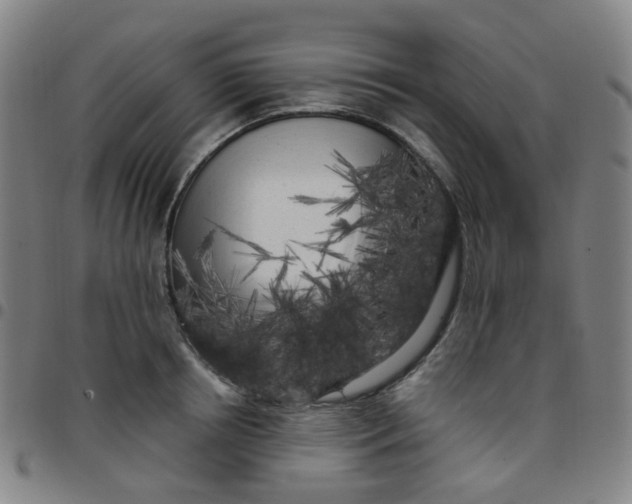 X0000097470850200803071652
