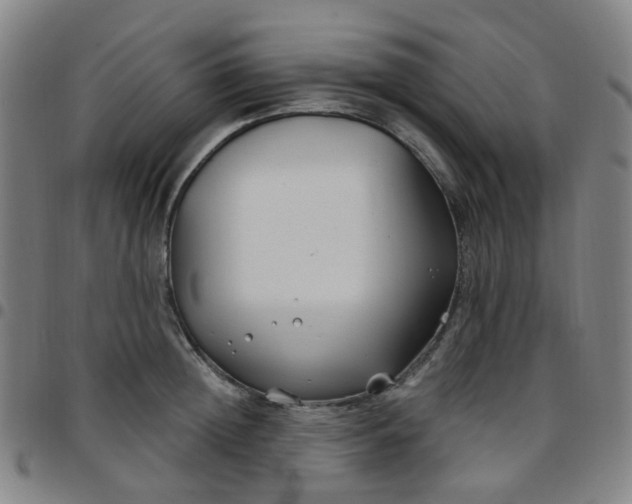 X0000097470852200803071652