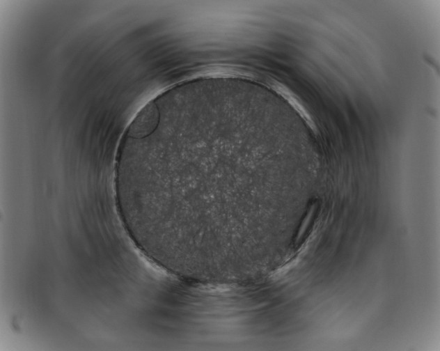 X0000097470853200803071652