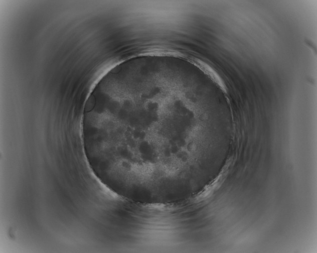 X0000097470855200803071652