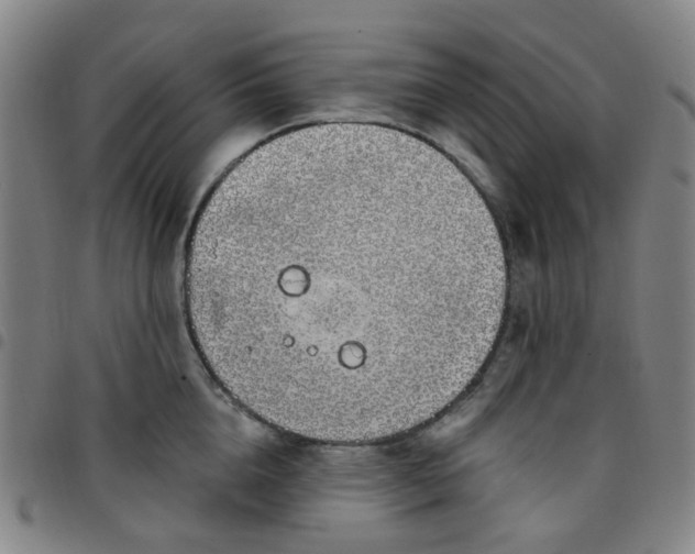 X0000097470856200803071652