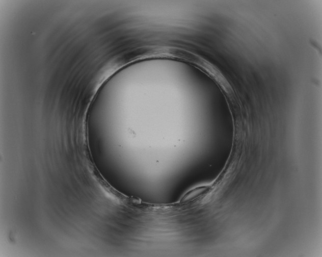X0000097470858200803071652