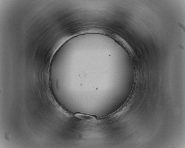 X0000097470860200803071652