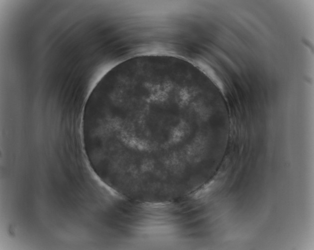 X0000097470863200803071652