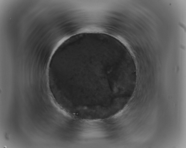 X0000097470864200803071652