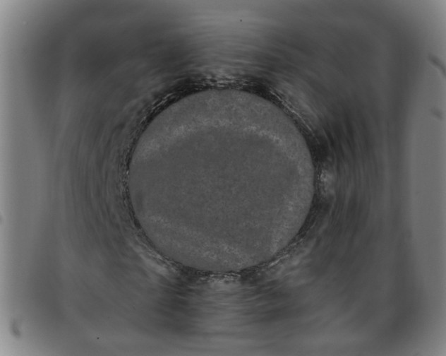 X0000097470865200803071651