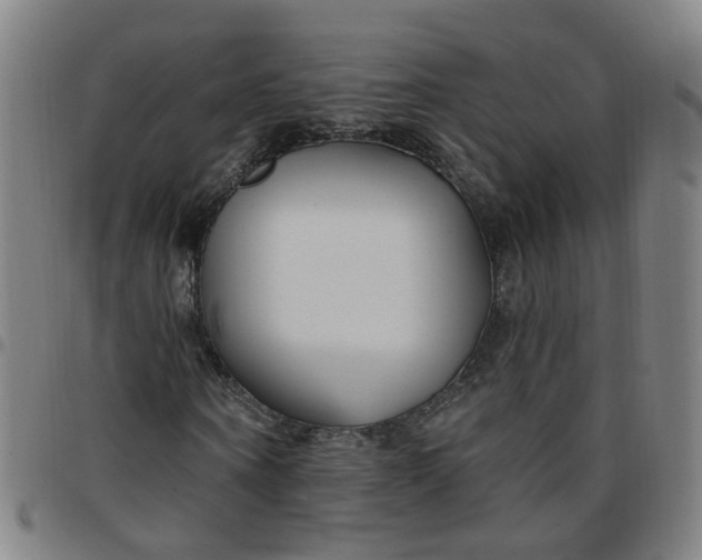 X0000097470866200803071651