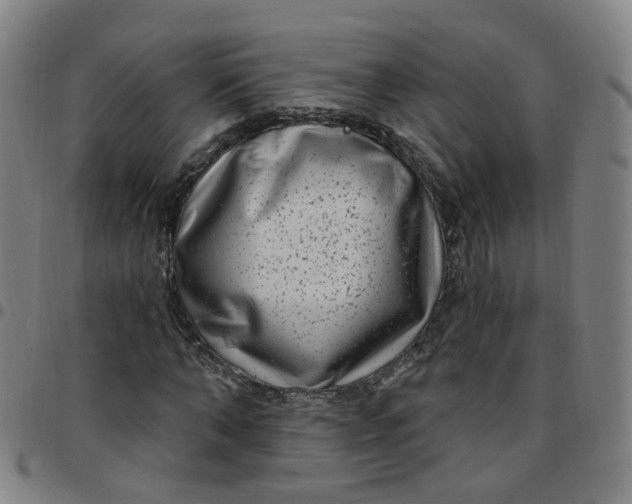 X0000097470870200803071651