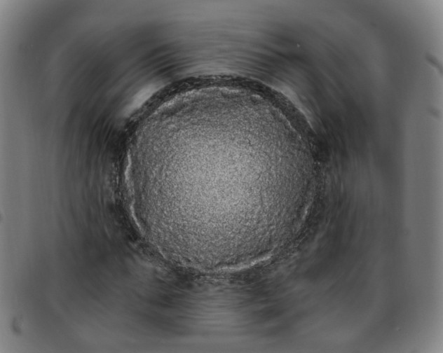 X0000097470871200803071651