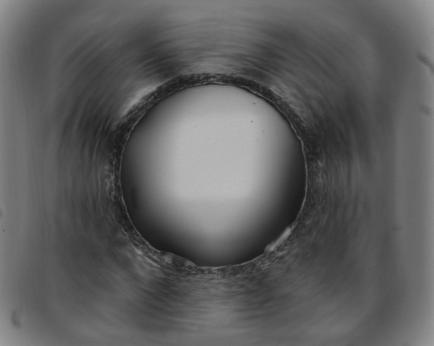 X0000097470872200803071651