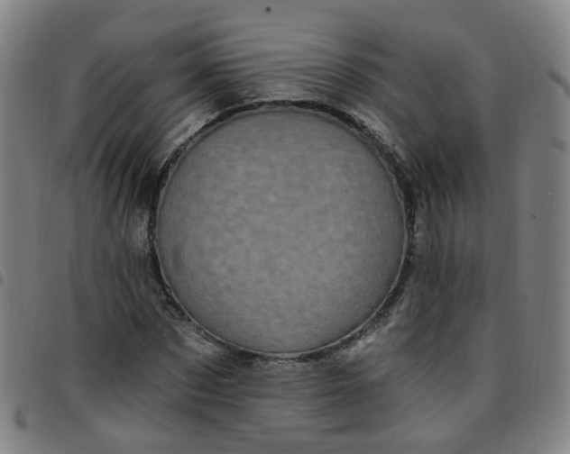 X0000097470873200803071651