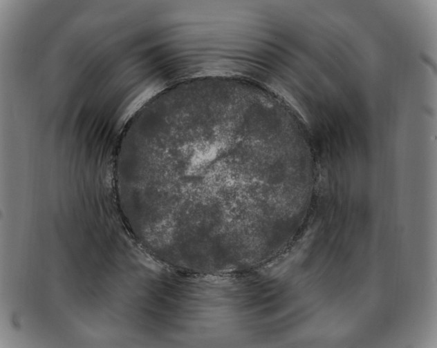 X0000097470874200803071651