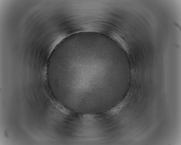 X0000097470875200803071651