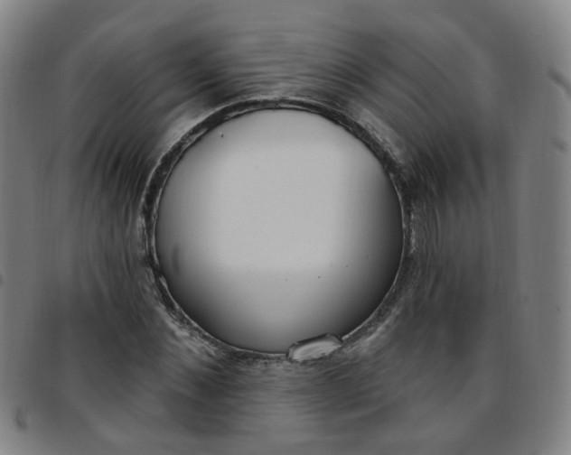 X0000097470876200803071651