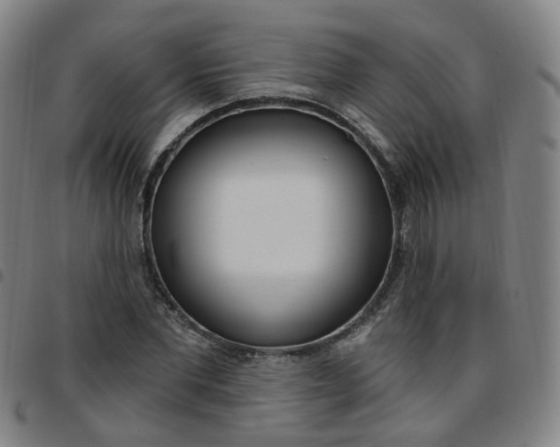 X0000097470877200803071651