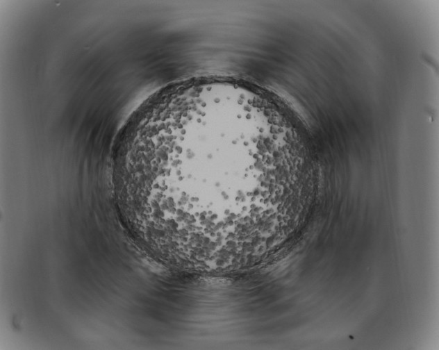 X0000097470878200803071651