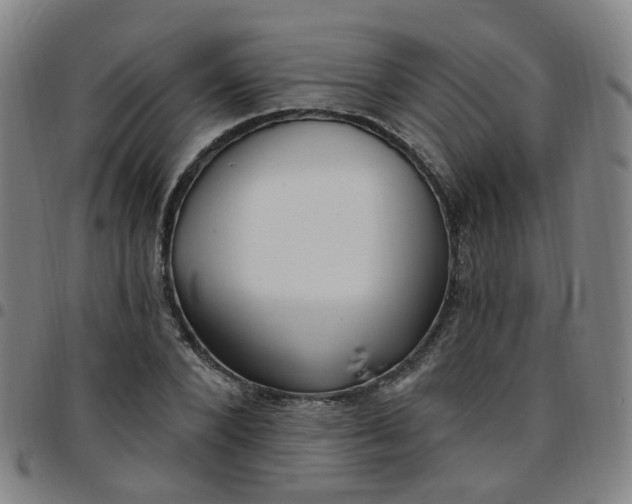 X0000097470880200803071651