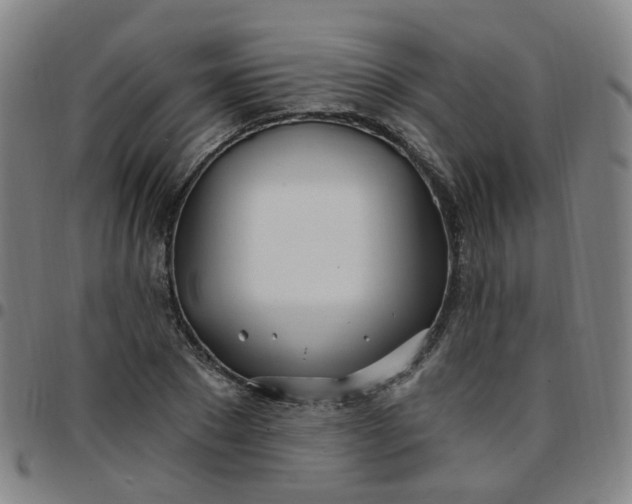 X0000097470881200803071651