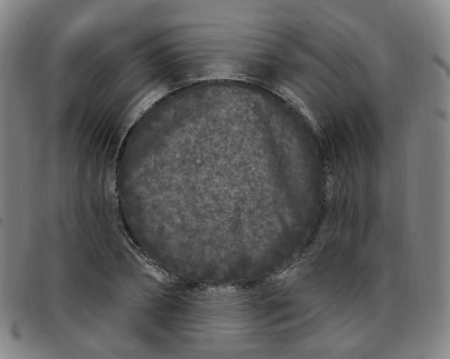 X0000097470882200803071651