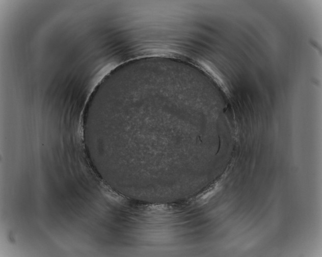 X0000097470883200803071651