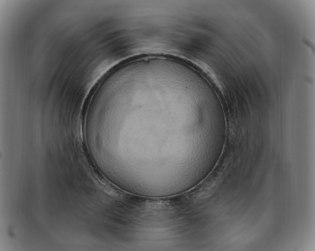 X0000097470887200803071651