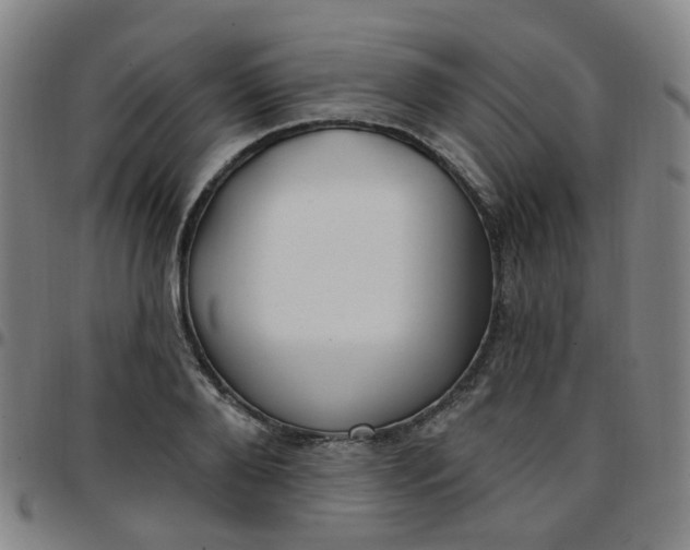X0000097470888200803071651