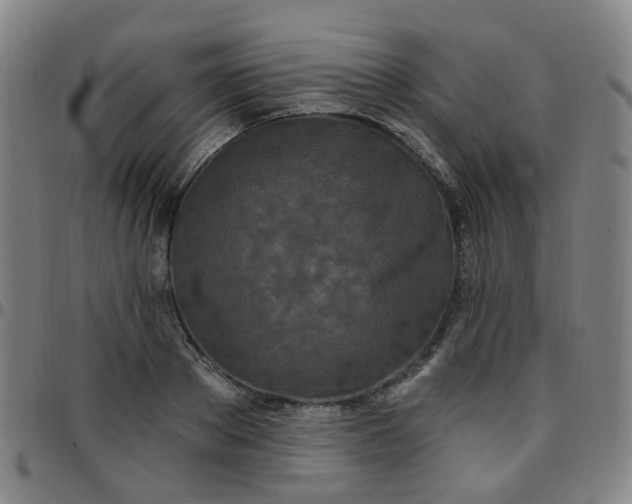 X0000097470889200803071651