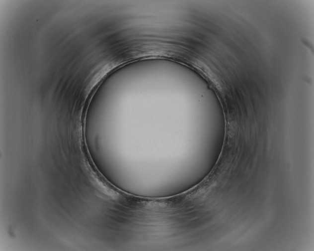 X0000097470890200803071651
