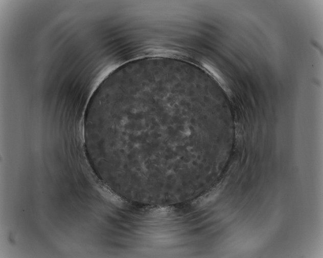 X0000097470891200803071651