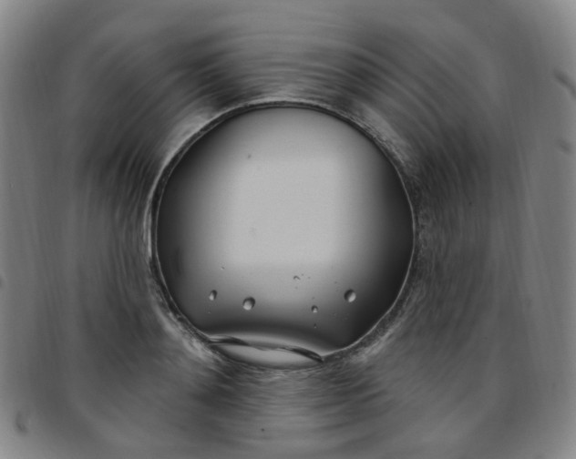 X0000097470892200803071651