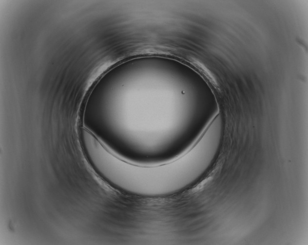 X0000097470893200803071651
