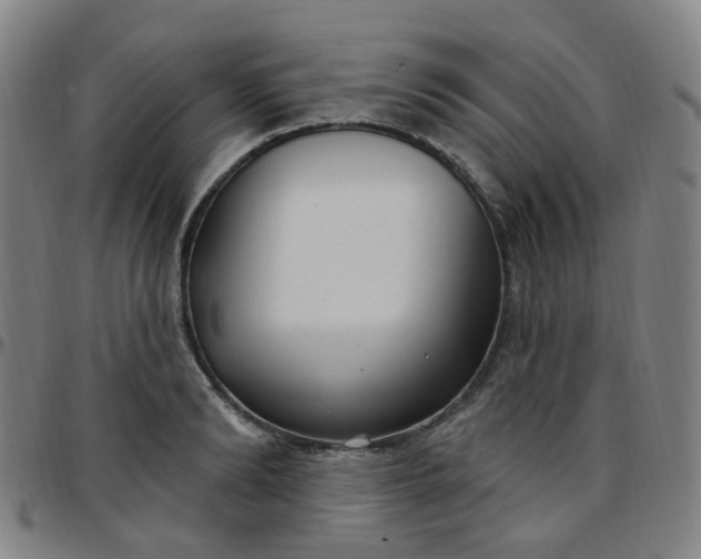 X0000097470894200803071651