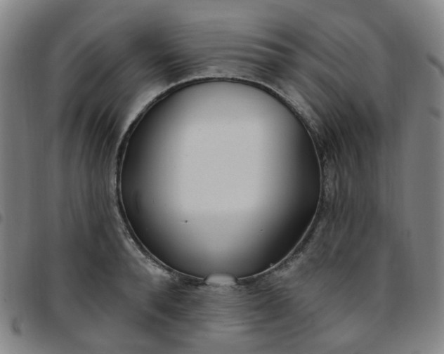 X0000097470896200803071651