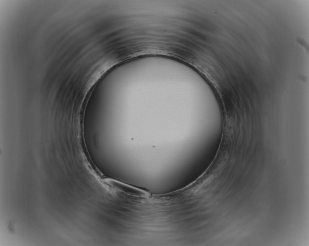 X0000097470898200803071651