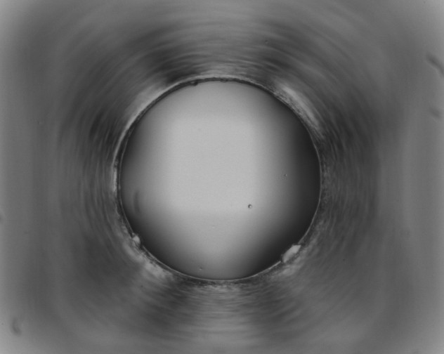 X0000097470900200803071651