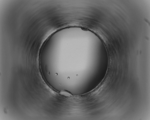 X0000097470902200803071651