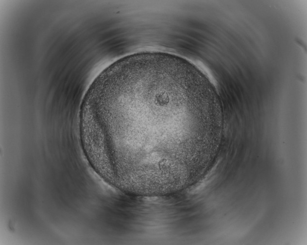 X0000097470903200803071651