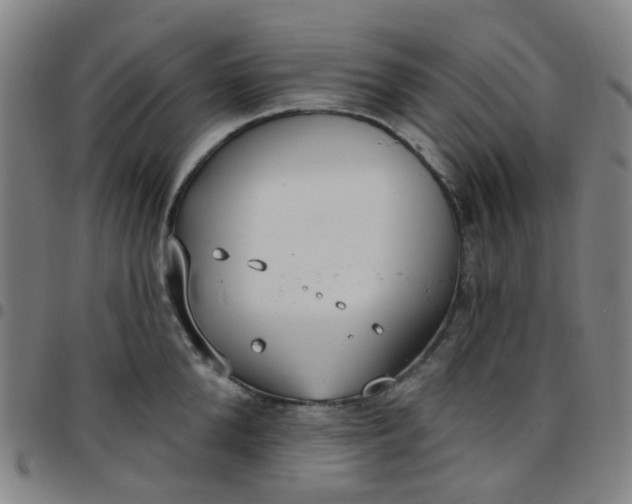 X0000097470904200803071651