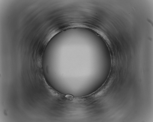 X0000097470905200803071651