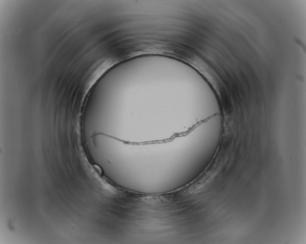 X0000097470906200803071650