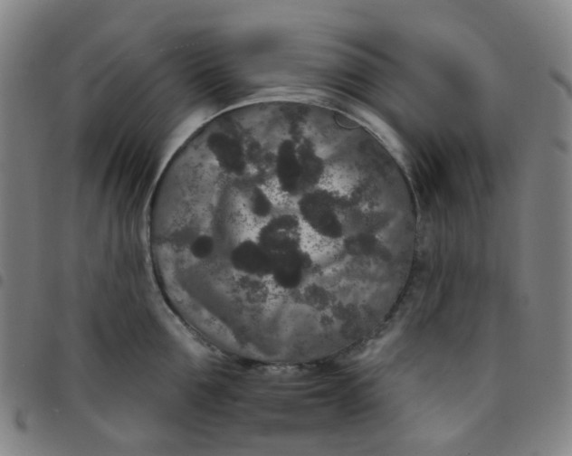 X0000097470907200803071650